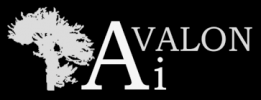 Avalon AI